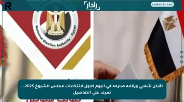 إقبال شعبي ورقابة صارمة في اليوم الأول لانتخابات مجلس الشيوخ 2025… تعرف على التفاصيل